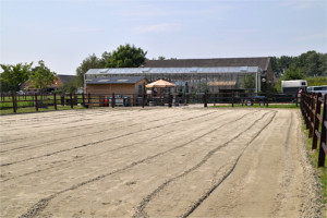 locatie